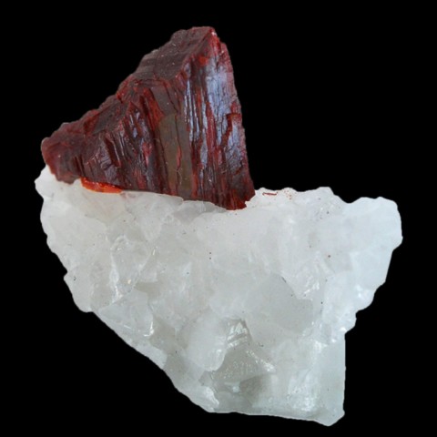 Lorandite de 1 cm sur calcite de Mercur Mine, Utah, USA © Timothy Blackwood