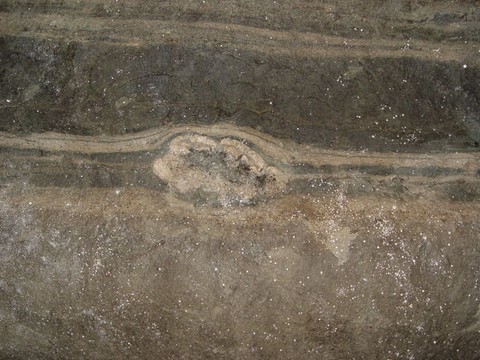 Stromatolithe avec figure de charge.