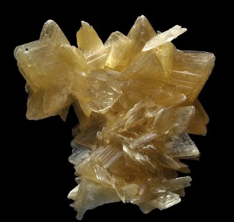 Muscovite étoilée de Genipupo, Itinga, Minas Gerais, Brésil