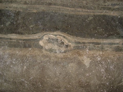 Stromatolite de la Mine des Rois de Dallet, Puy-de-Dôme, France