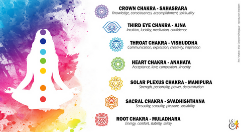 The 7 chakras