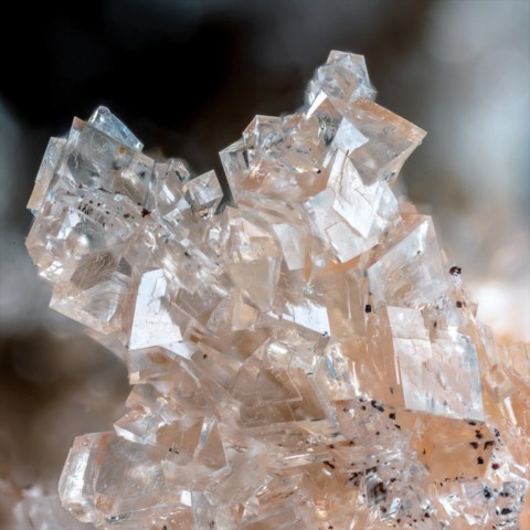 Whitlockite de Tip Top Mine, Dakota du Sud, USA © Gianfranco Ciccolini