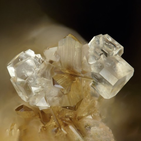 Whitlockite sur jahnsite de Tip Top Mine, Dakota du Sud, USA © Stephan Wolfsried