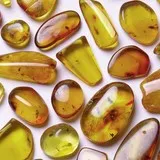 Amber Sacral chakra - SVADHISHTHANA - Solar plexus chakra - MANIPURA - Throat chakra - VISHUDDHA - Depression, stress, immune system, fatigue, teeth, blood circulation, painkiller, intelligence, moral, communication