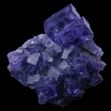 Fluorine violette de Chine