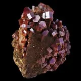 Vanadinite sur fossile de bivalve de Mibladen, Maroc