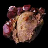 Vanadinite sur fossile de bivalve de Mibladen, Maroc