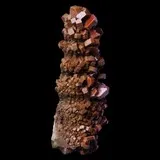 Vanadinite sur turritelle fossile de Mibladen, Khénifra, Maroc