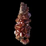 Vanadinite sur fossile de bivalve de Mibladen, Maroc